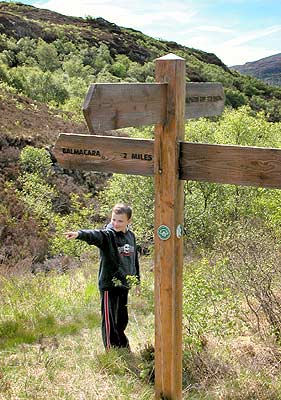 Boy pointing and signpost pointing