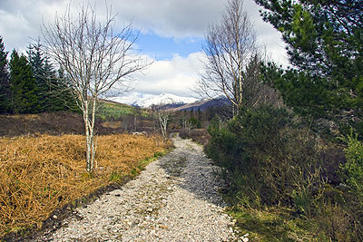 Totaig Broch approach (Caisteal Grugaig)